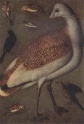 Ludger tom Ring Great Bustard Cock oil painting on canvas